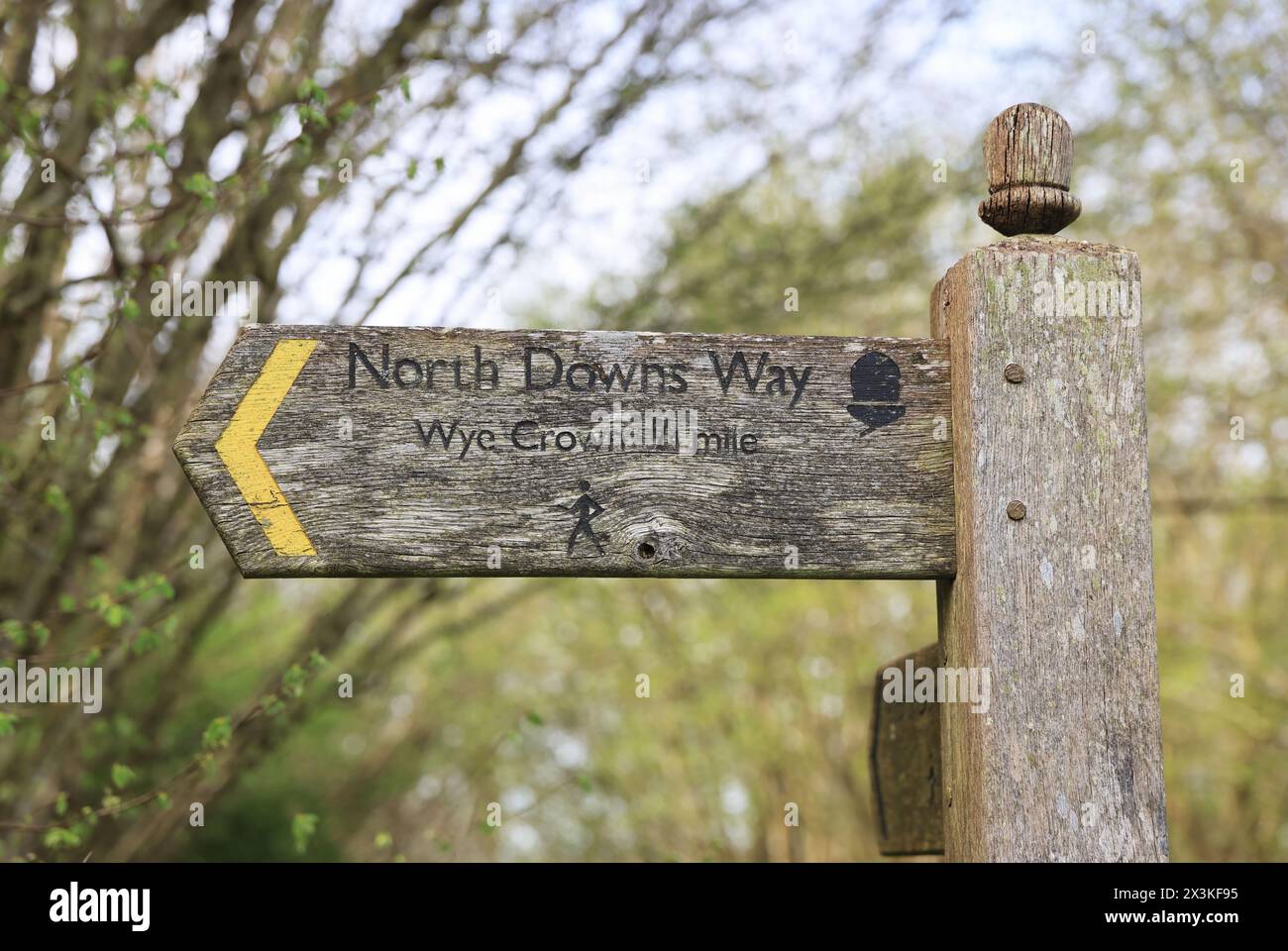 Indicazioni per il sentiero North Downs Way vicino a Wye, Ashford, Kent, Regno Unito Foto Stock