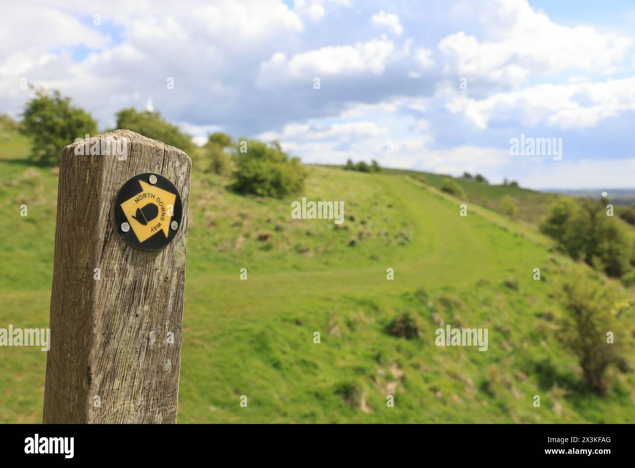 Puntatore per il sentiero North Downs Way, su Wye Downs, al sole primaverile, vicino ad Ashford, kent, REGNO UNITO Foto Stock