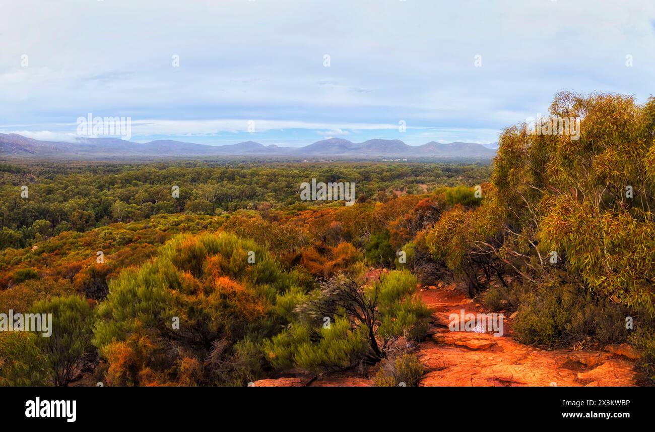Colorato terreno rosso all'interno della valle della formazione rocciosa Wilpena Pound nelle Flinders Ranges, nell'Australia meridionale. Foto Stock