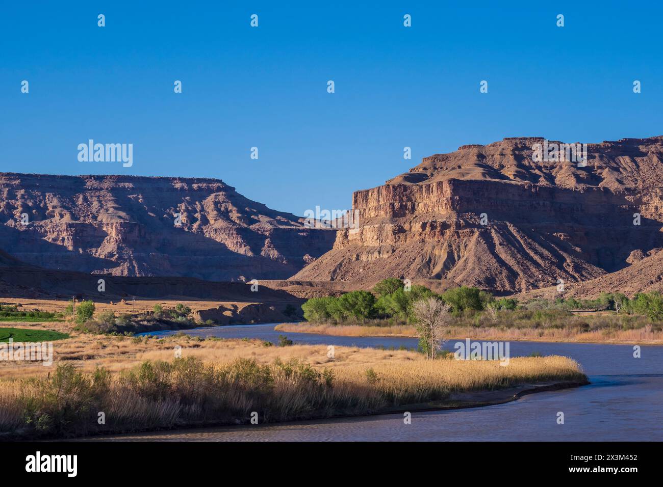 Green River e Book Cliffs vicino a Gunnison Butte, Green River, Utah. Foto Stock