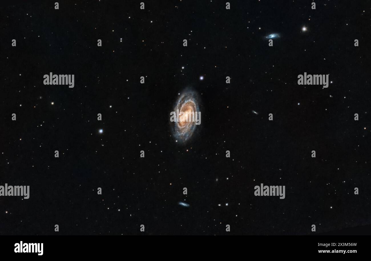 Ho catturato la bellezza della galassia Messier 109 dal mio cortile. Foto Stock