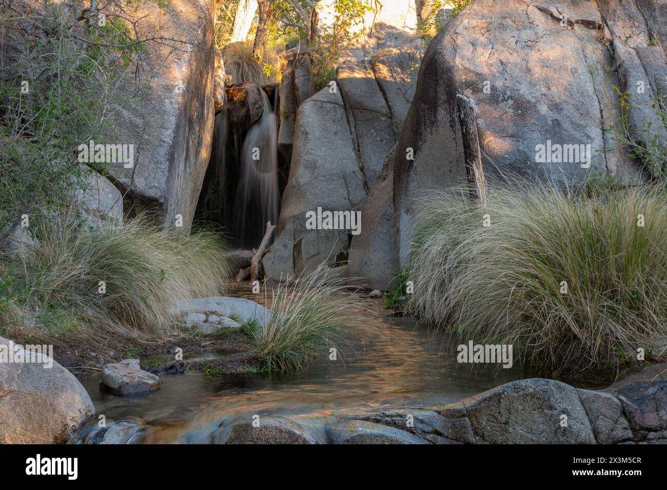 Cascata in un canyon ripariale Foto Stock
