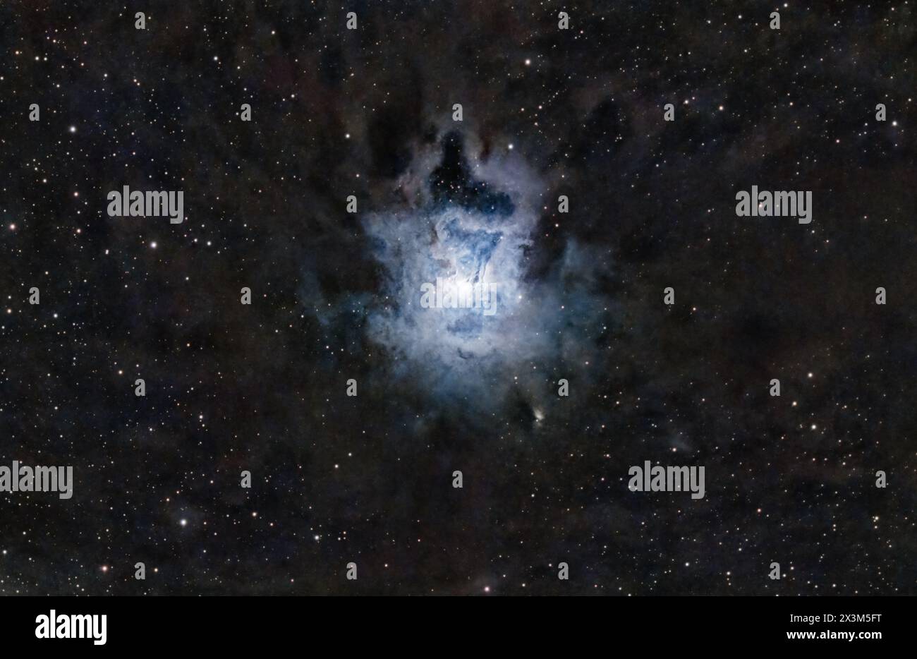 Immortalato la bellezza mozzafiato della nebulosa Iris a Cefeo direttamente dal mio cortile! Foto Stock