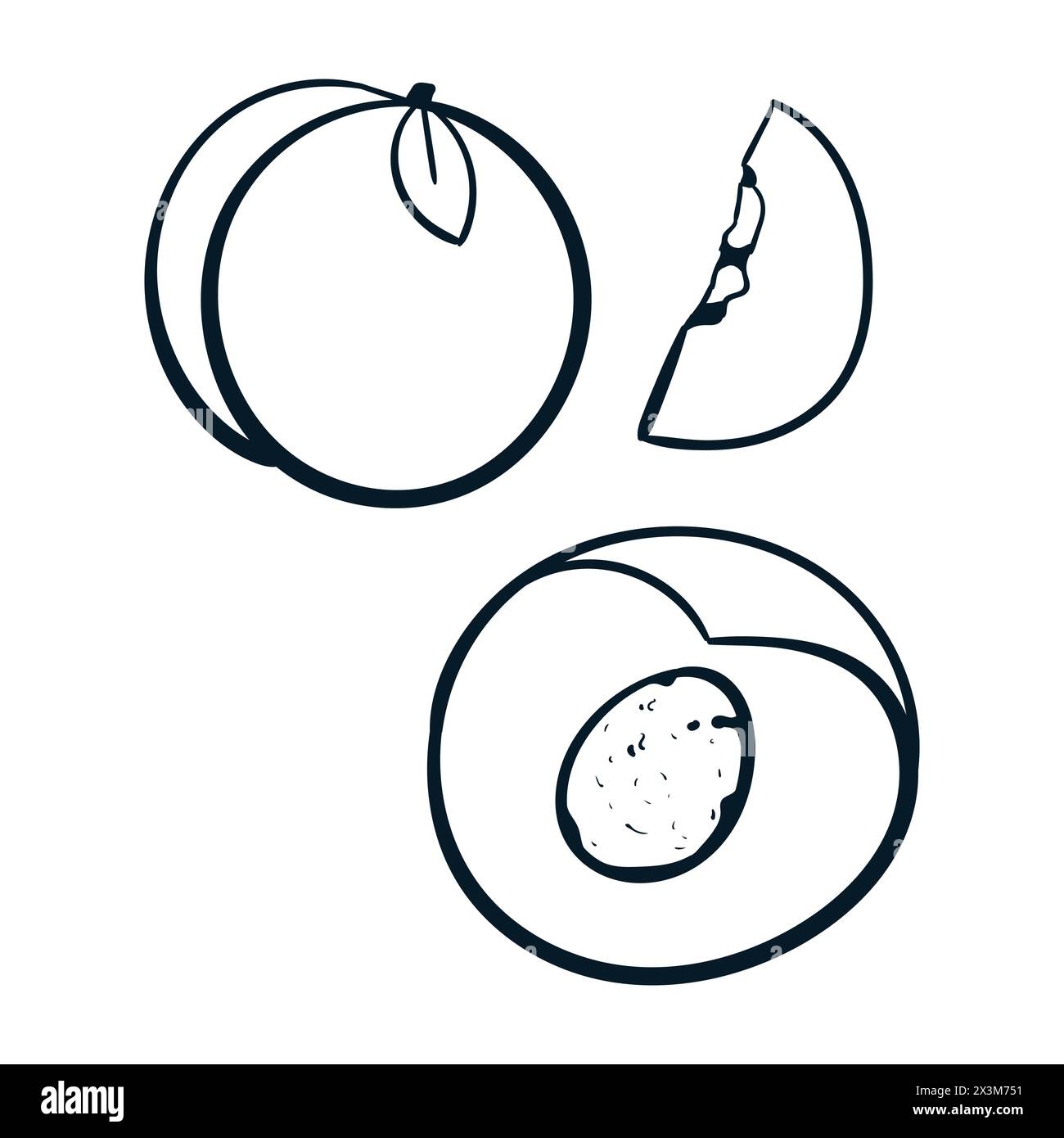 Set di disegni a base di frutta di pesca icone a forma di scarabocchio Vector Peach Scribbles. Vettore pesca Illustrazione Vettoriale