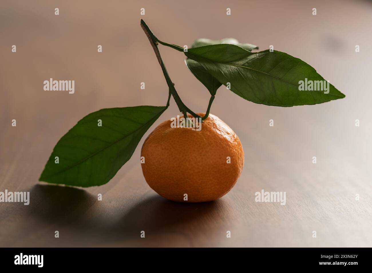 Piccolo mandarino organico con foglie su tavola di legno, messa a fuoco superficiale Foto Stock