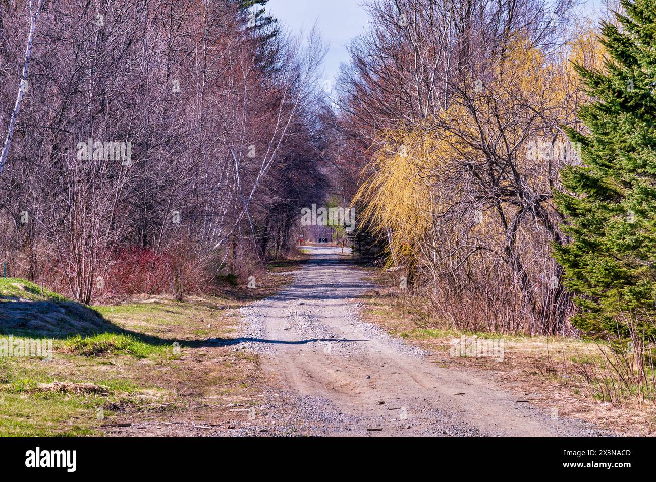 Kennebec Trail nord e sud, Madison, Maine Foto Stock