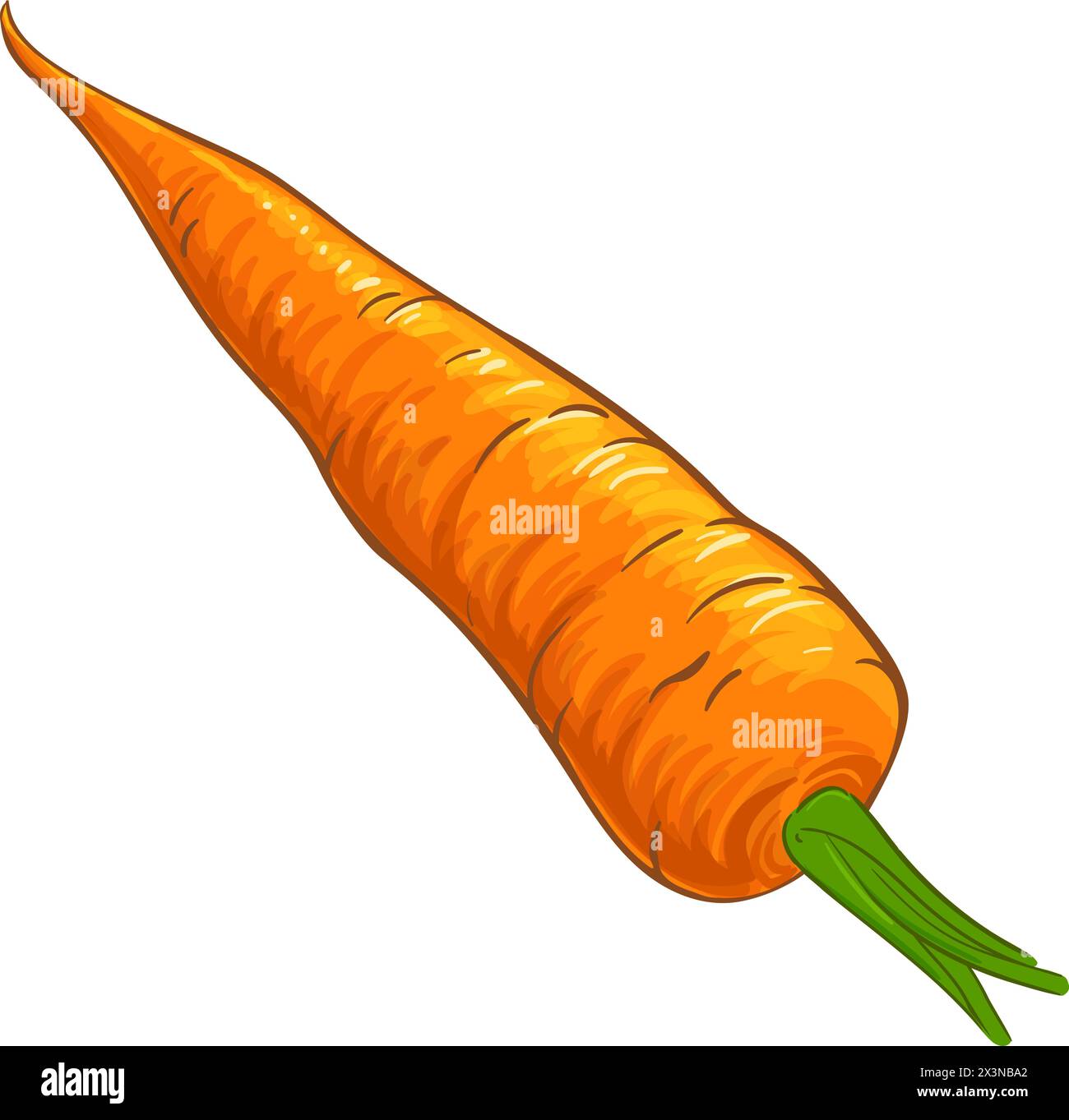 Illustrazione dettagliata colorata con radice di carota Illustrazione Vettoriale