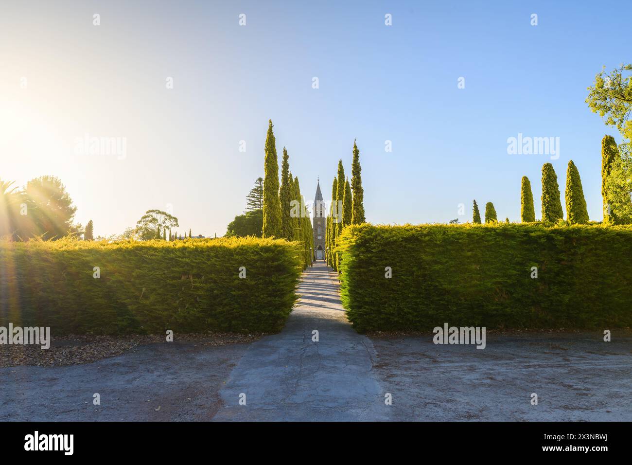 Chiesa luterana di Langmeil con il lungo percorso tra pini a matita a Tanunda durante il tramonto, Barossa Valley, Australia meridionale Foto Stock