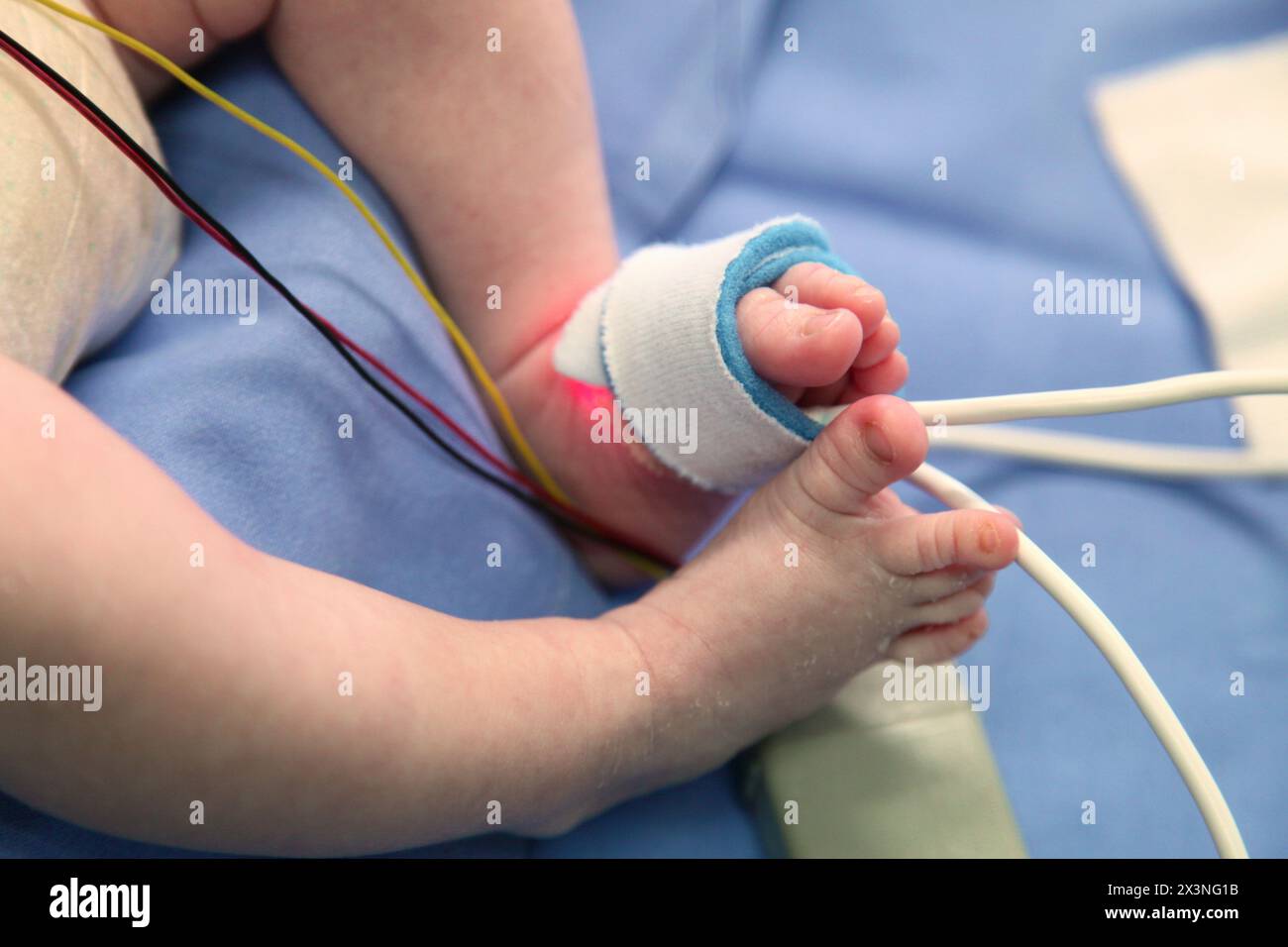 Neonatale, neonato unità di cura intensiva, Donostia Ospedale San Sebastian, Donostia, Gipuzkoa, Paesi Baschi Foto Stock