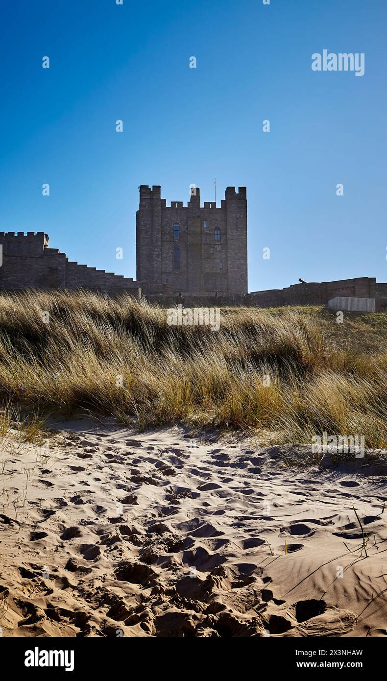 Torre del Castello di Bamburgh dalla spiaggia con sabbia e dune erbose. Foto Stock