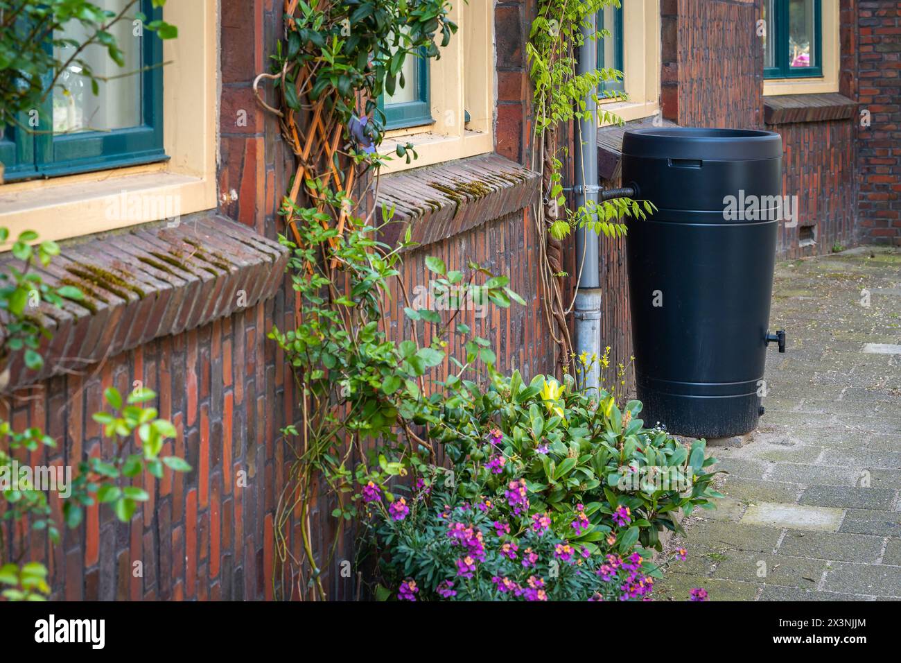 Botte di pioggia nella strada olandese della città, risparmiando l'acqua piovana per l'uso in giardino o in casa Foto Stock