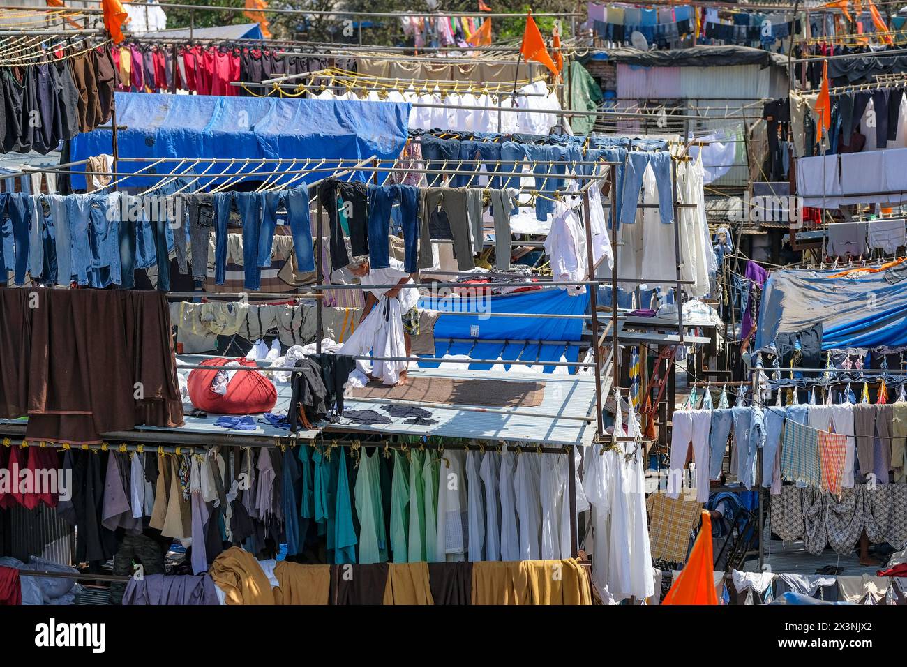 Mumbai, India - 3 marzo 2024: Un uomo che lavora presso Mahalaxmi Dhobi Ghat, la più grande lavanderia all'aperto di Mumbai, India. Foto Stock