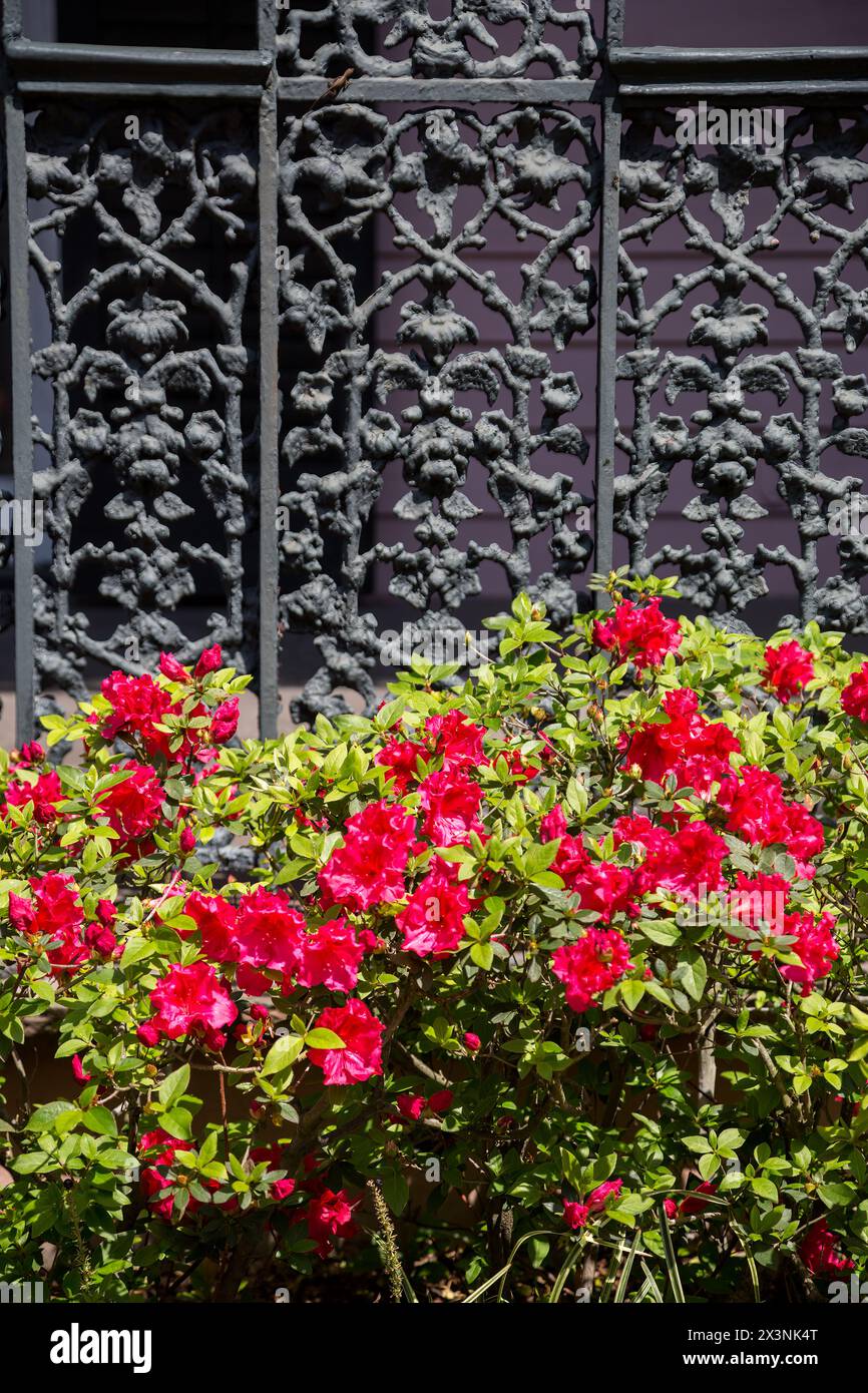 New Orleans, Louisiana. Grigliata in ghisa su una casa nel Garden District. Foto Stock