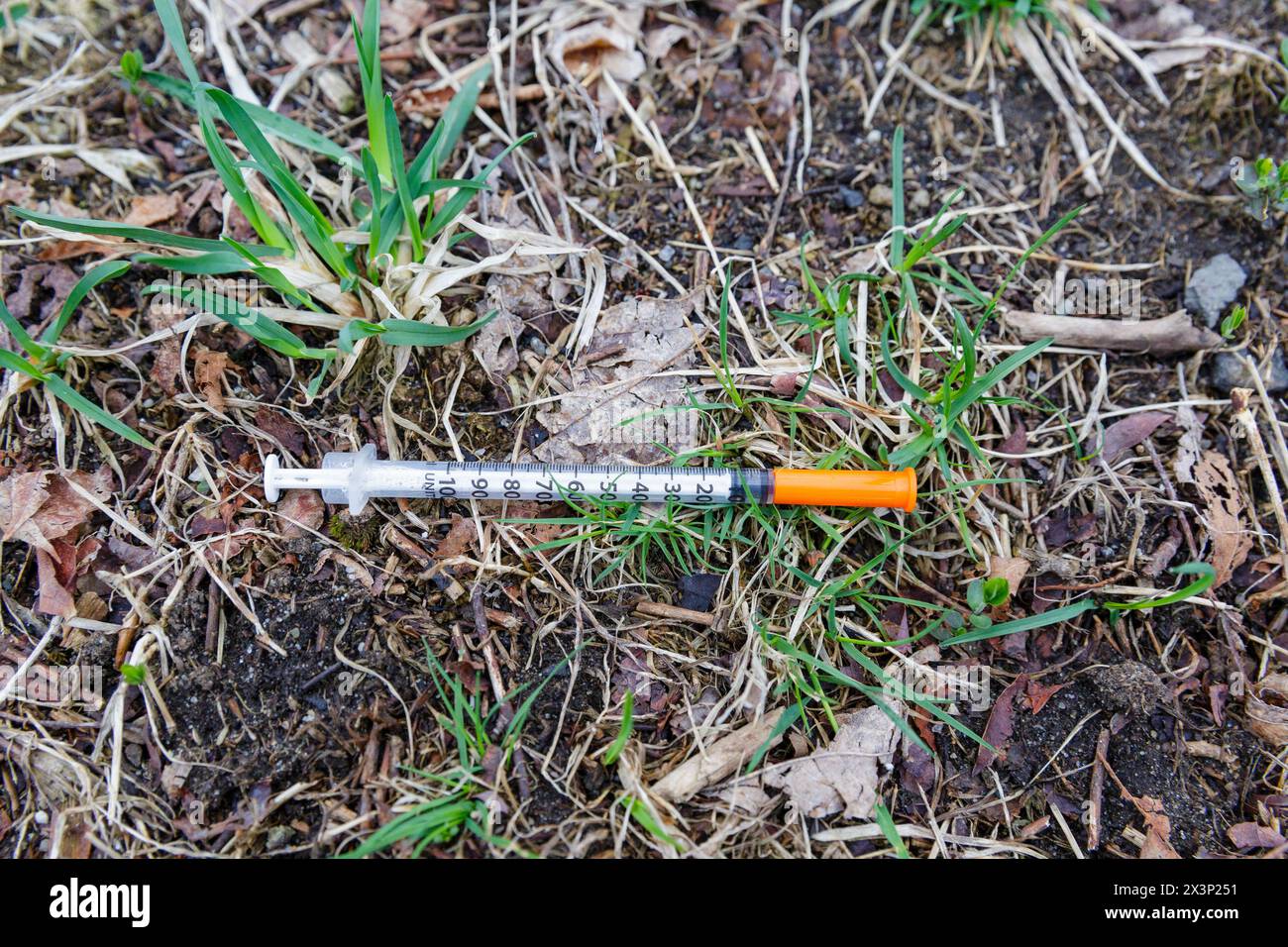 Siringa usata che è stata scartata in una testata nelle White Mountains del New Hampshire durante i mesi primaverili. Non è noto cosa questa siringa W. Foto Stock