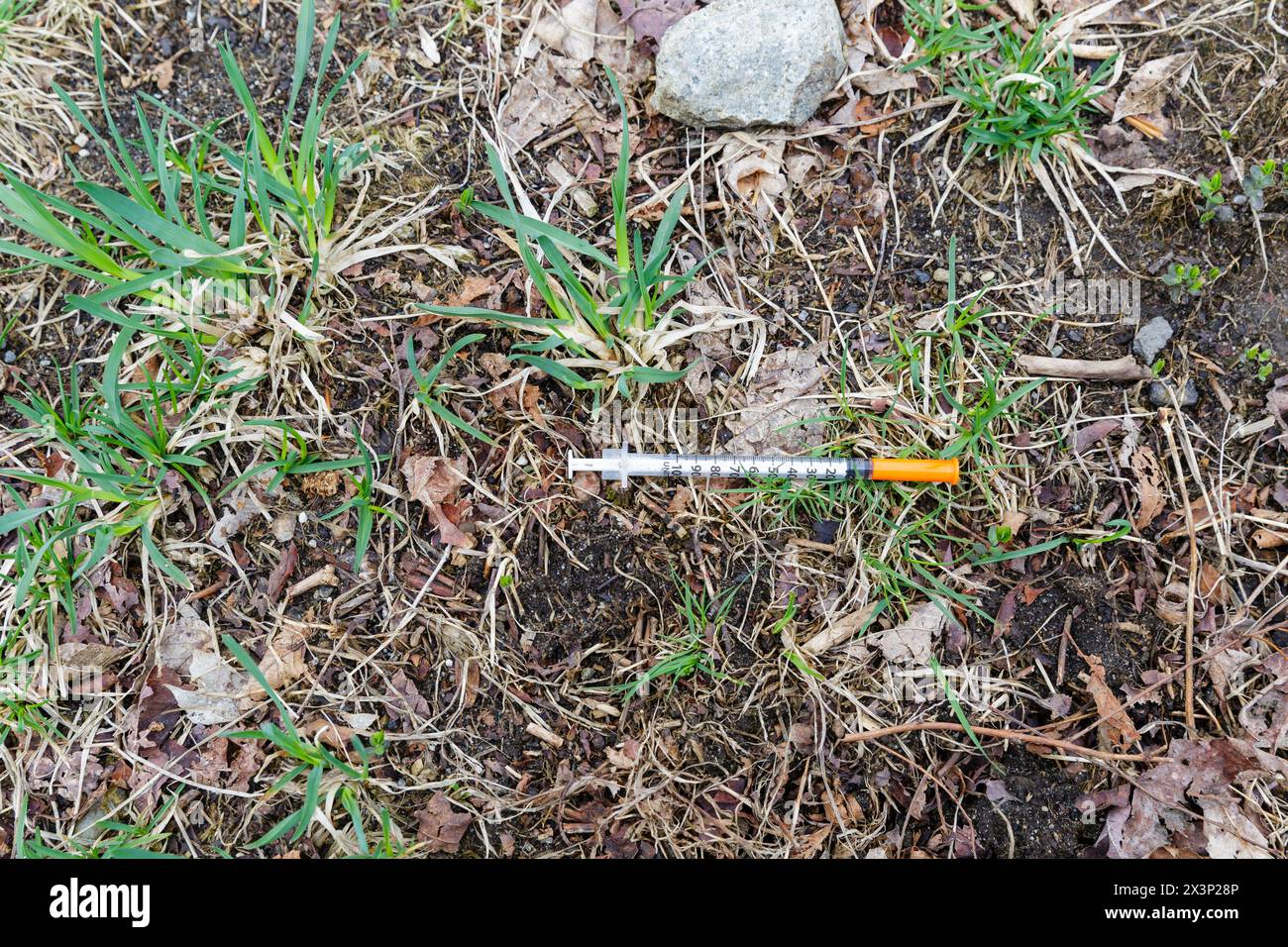 Siringa usata che è stata scartata in una testata nelle White Mountains del New Hampshire durante i mesi primaverili. Non è noto cosa questa siringa W. Foto Stock