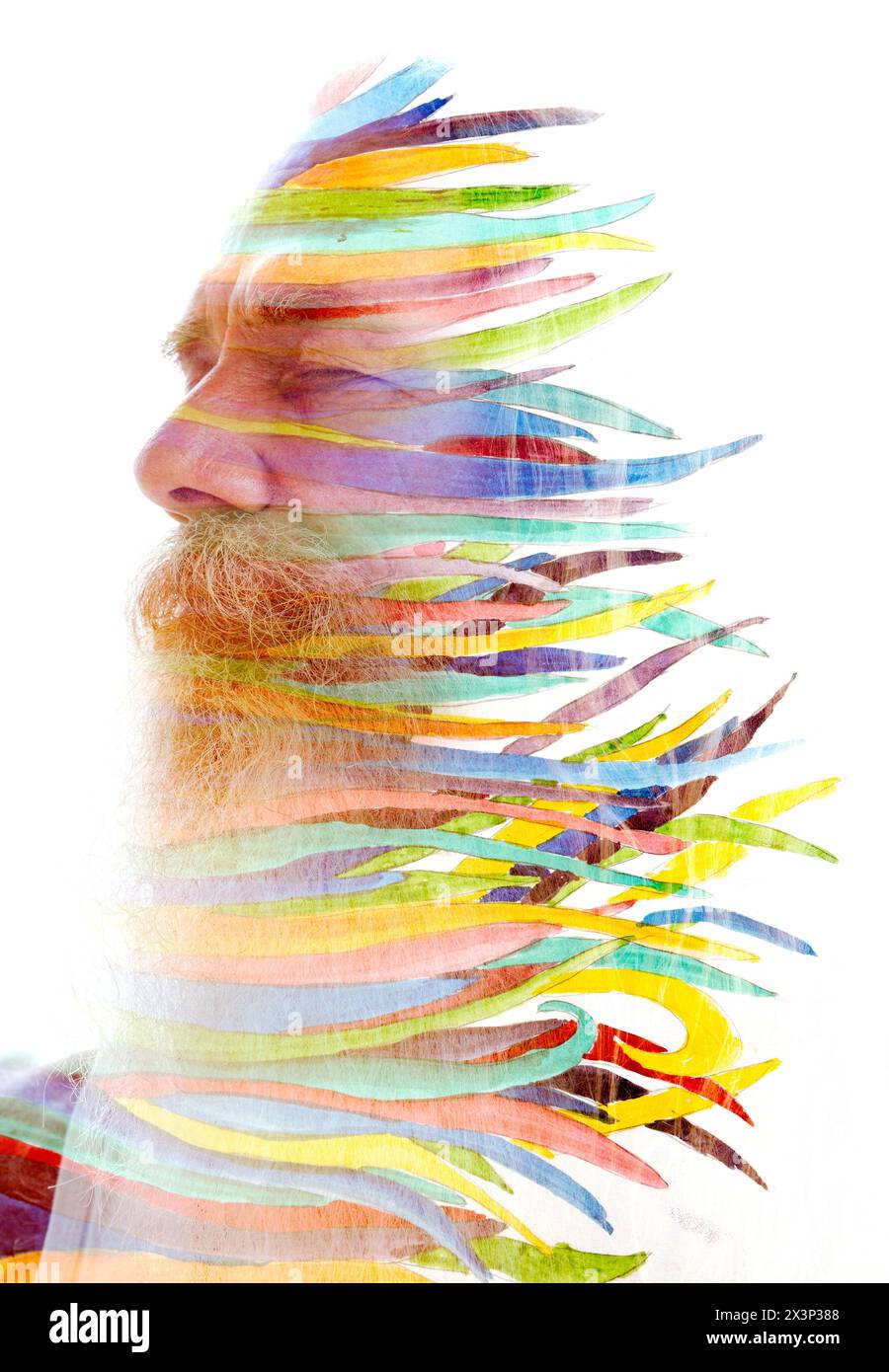 Il ritratto di un vecchio si è fuso con un colorato dipinto di erba in pittura Foto Stock