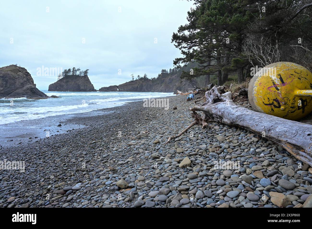 Le grandi navi galleggiano su una costa rocciosa. Paesaggio costiero di Washington. Persona seduta su un tronco più in basso sulla spiaggia. Foto Stock