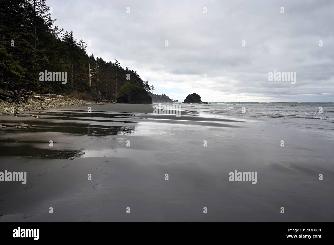 Scena costiera a Second Beach, Olympic National Park, Washington Foto Stock