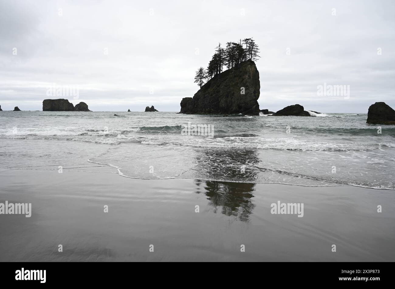 Sembra bianco e nero, ma non lo è. Ritaglio di roccia a Second Beach, Olympic National Park, Washington. Foto Stock