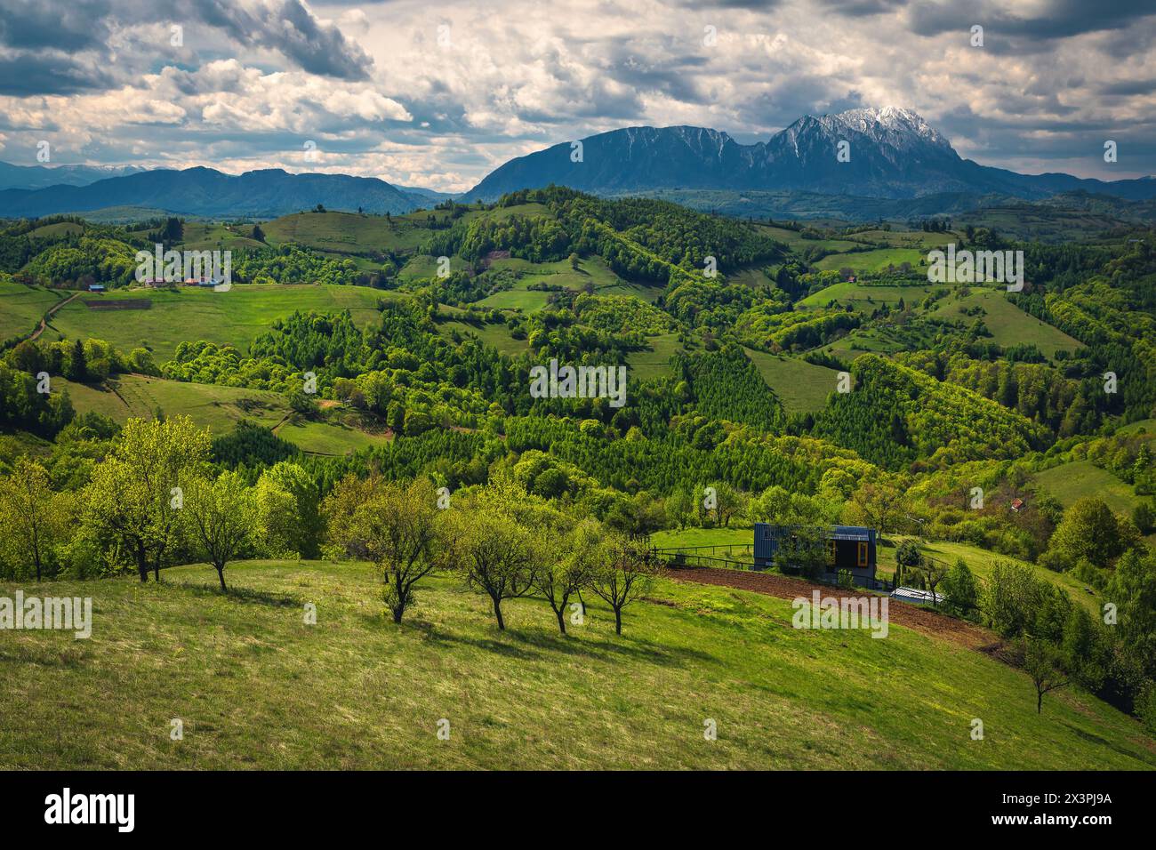 Fantastico paesaggio rurale estivo e graziosa piccola casa sul pendio con splendida vista, montagne di Piatra Craiului sullo sfondo, Holbav, Romania, Europa Foto Stock