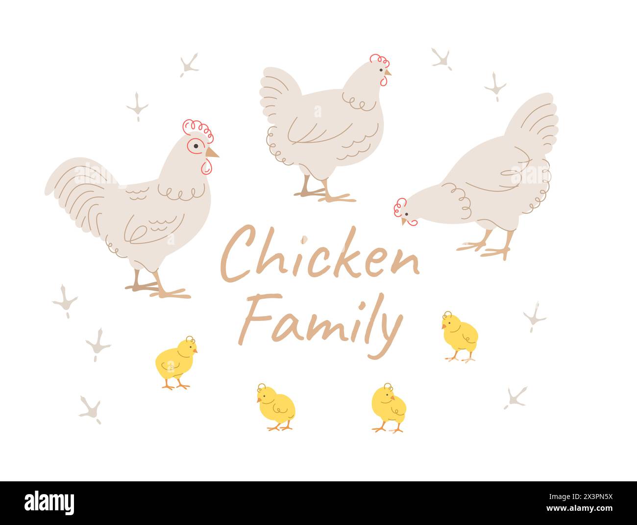 Simpatici membri della famiglia dei polli doodle. Pollo lineare, gallo e adorabili pulcini disegnati a mano in diverse posizioni, isolati sul bianco. Carrello vettoriale stilizzato Illustrazione Vettoriale