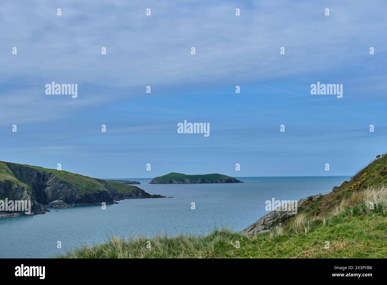 Cardigan Island vista da Mwnt Beach, Mwnt, Cardigan, Ceredigion, Galles Foto Stock