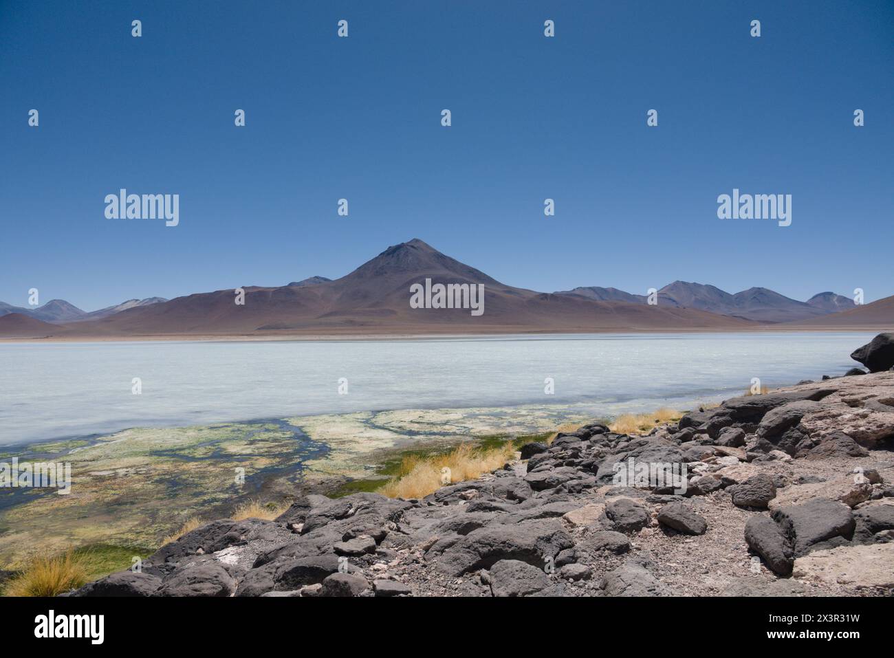 Paesaggio vulcanico intorno alla "Laguna Bianca" in Bolivia Foto Stock
