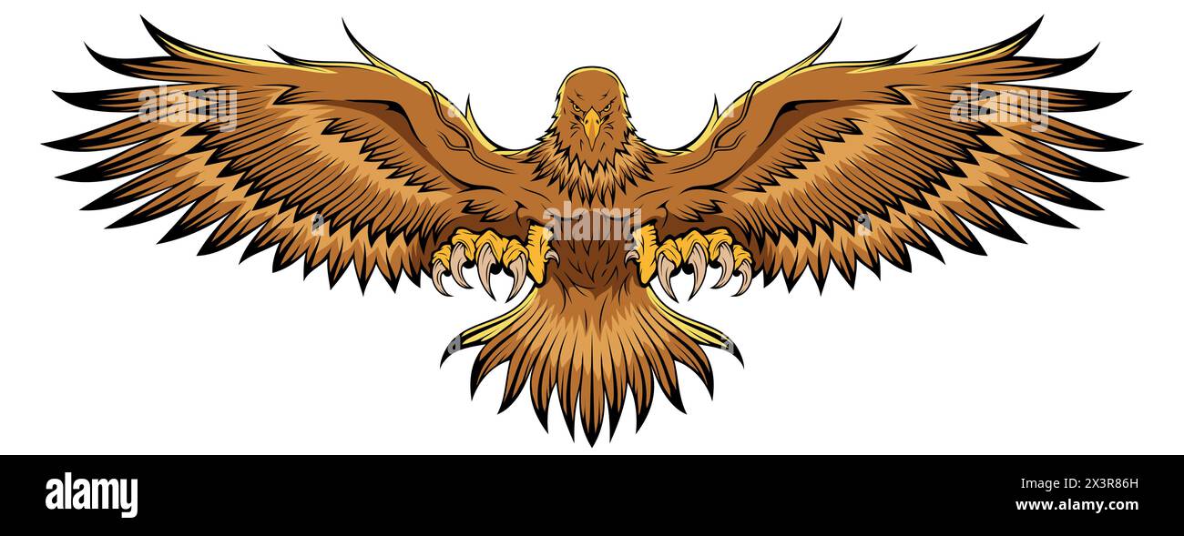 Aquila. Aquila calva. Simbolo nazionale degli Stati Uniti. Immagine vettore stock Illustrazione Vettoriale