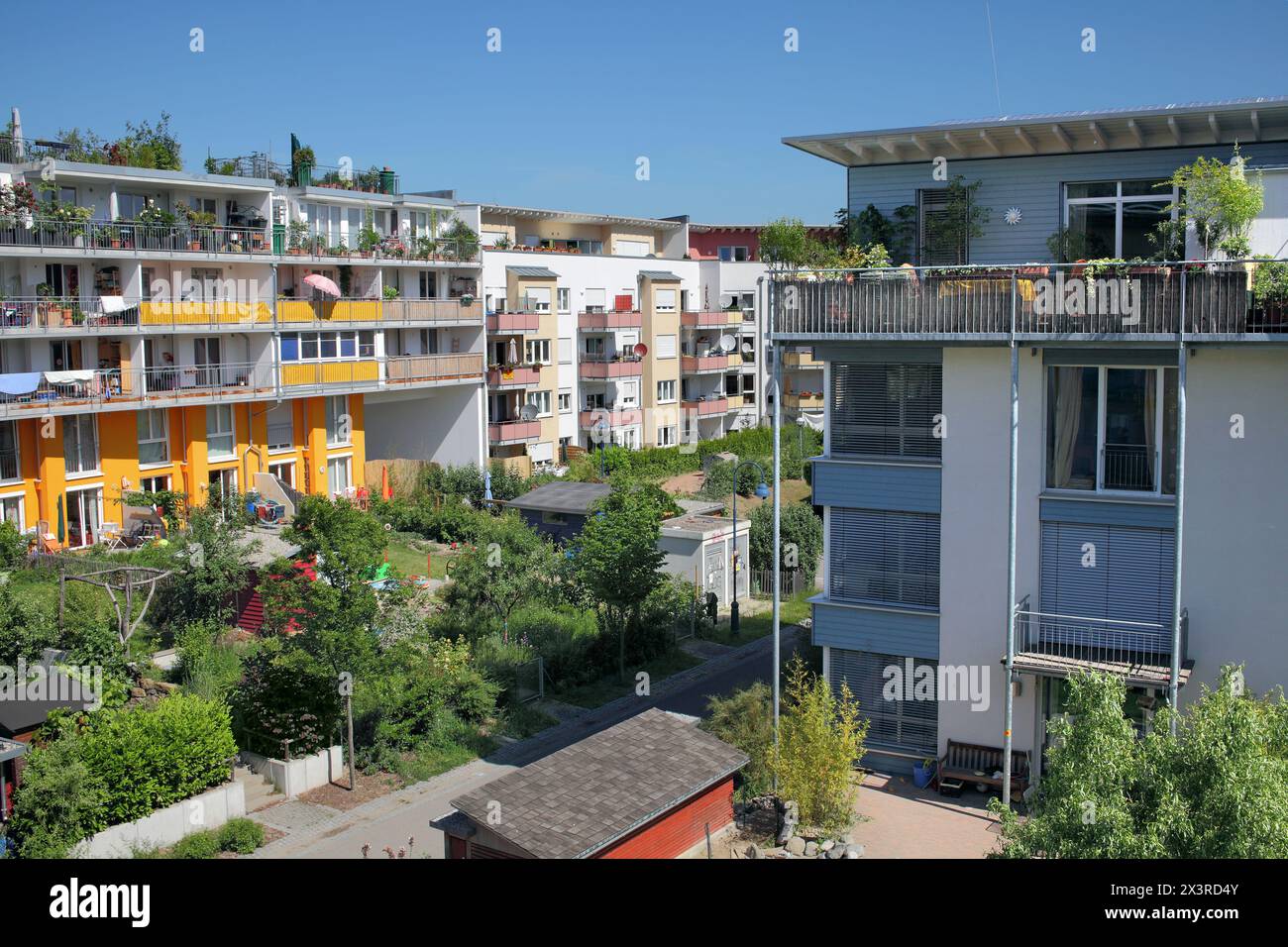 Abitazioni e giardini lussureggianti a Vauban, un sobborgo sostenibile di Friburgo in Breisgau, Germania. Foto Stock