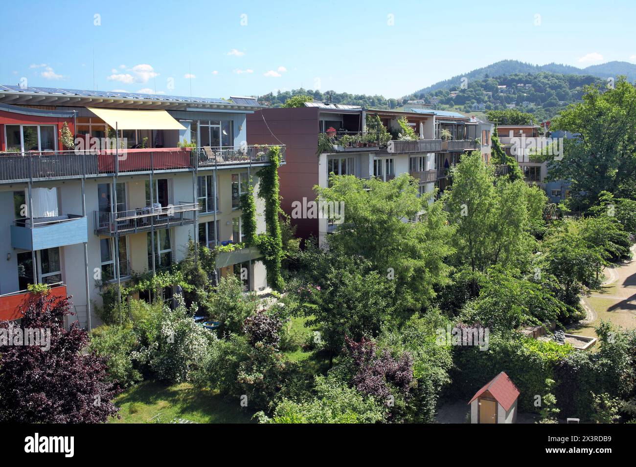 Abitazioni e giardini lussureggianti a Vauban, un sobborgo sostenibile di Friburgo in Breisgau, Germania. Foto Stock