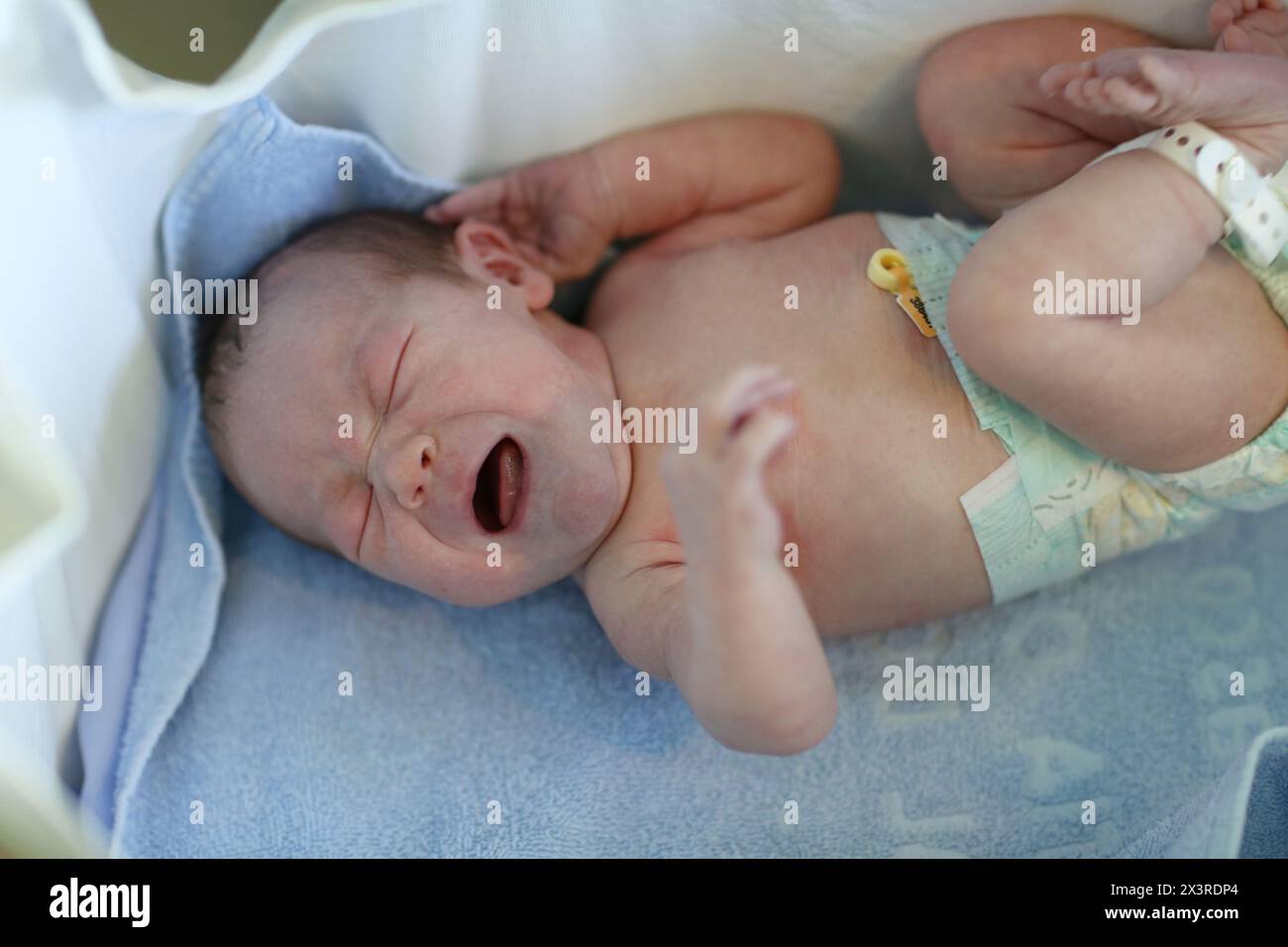 Neonato, maternità, Donostia Ospedale San Sebastian, Donostia, Gipuzkoa, Paesi Baschi Foto Stock
