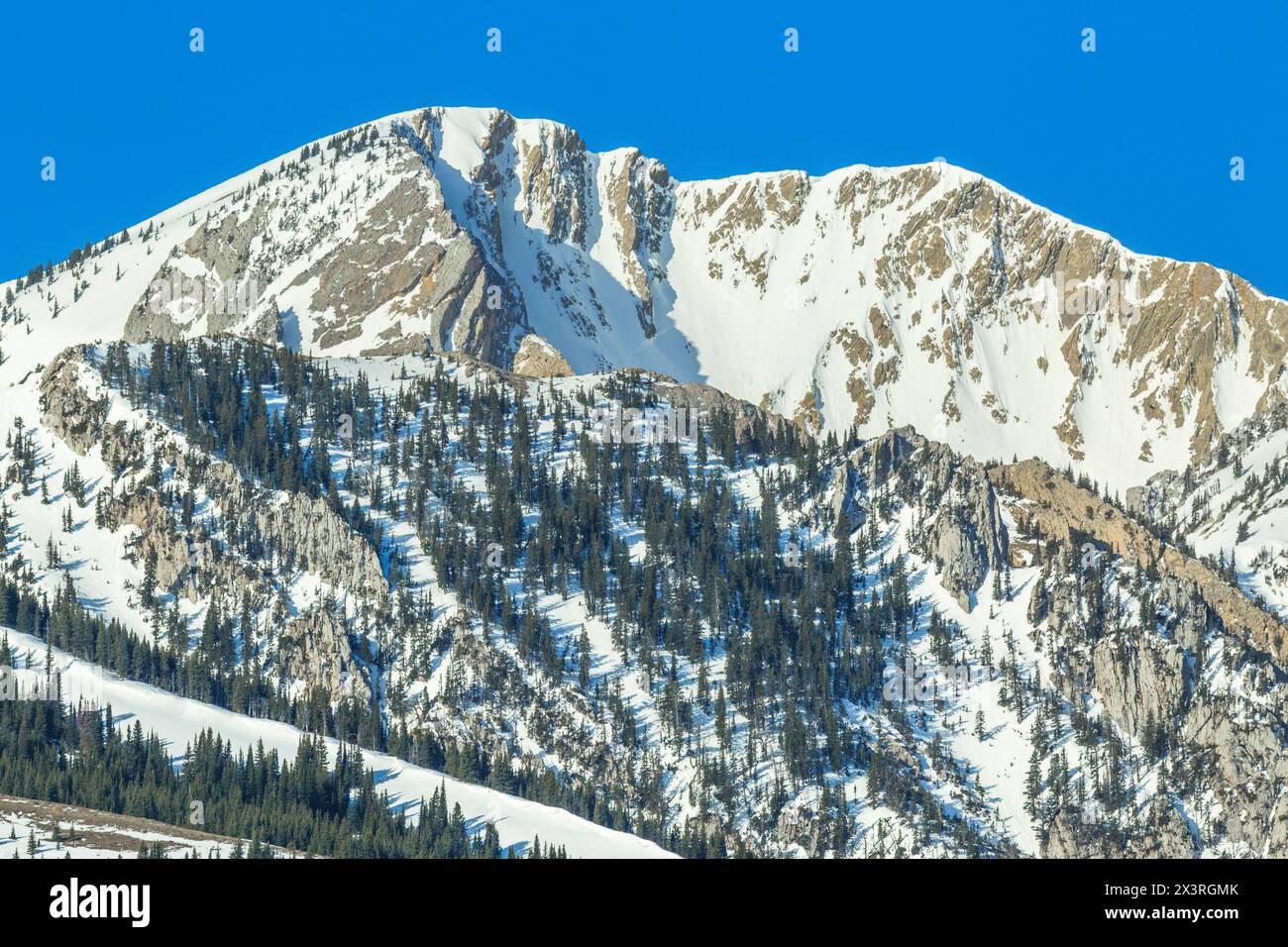 picco più duro nella catena montuosa di bridger vicino a wilsall, montana Foto Stock
