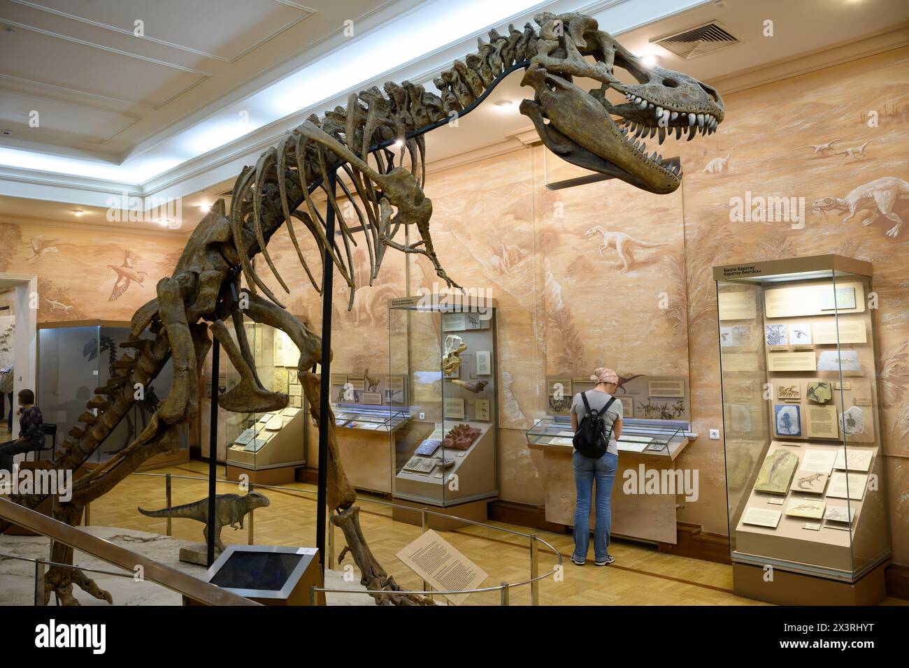 Scheletro del museo storico dei dinosauri a Kazan, Tatarstan, Russia. Ossa fossili di tyrannosaurus o T-rex, grandi estinte Foto Stock