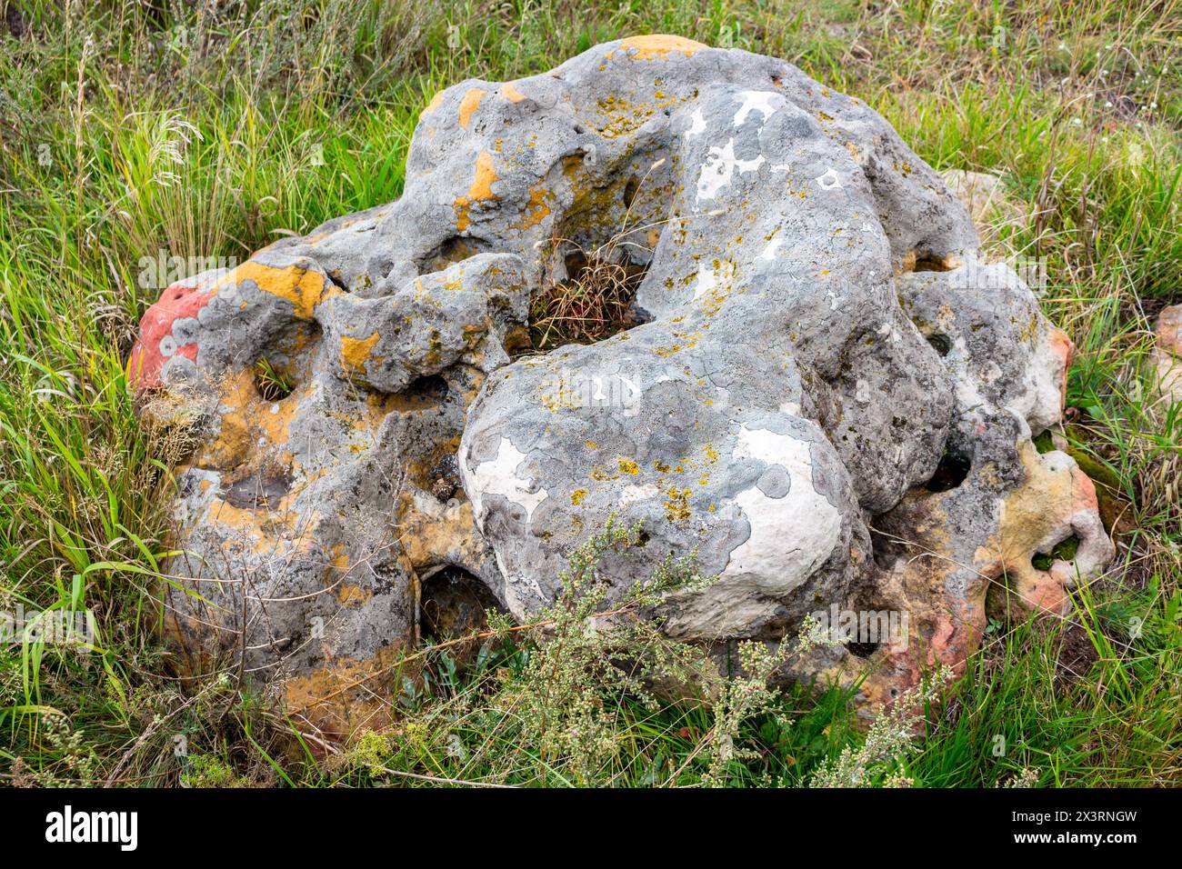 Pietre sacre nella zona del villaggio di Krasnogorye. Il monumento naturalistico Witches Stones. La valle del fiume Krasivaya Mecha. Regione di Tula, Rus Foto Stock