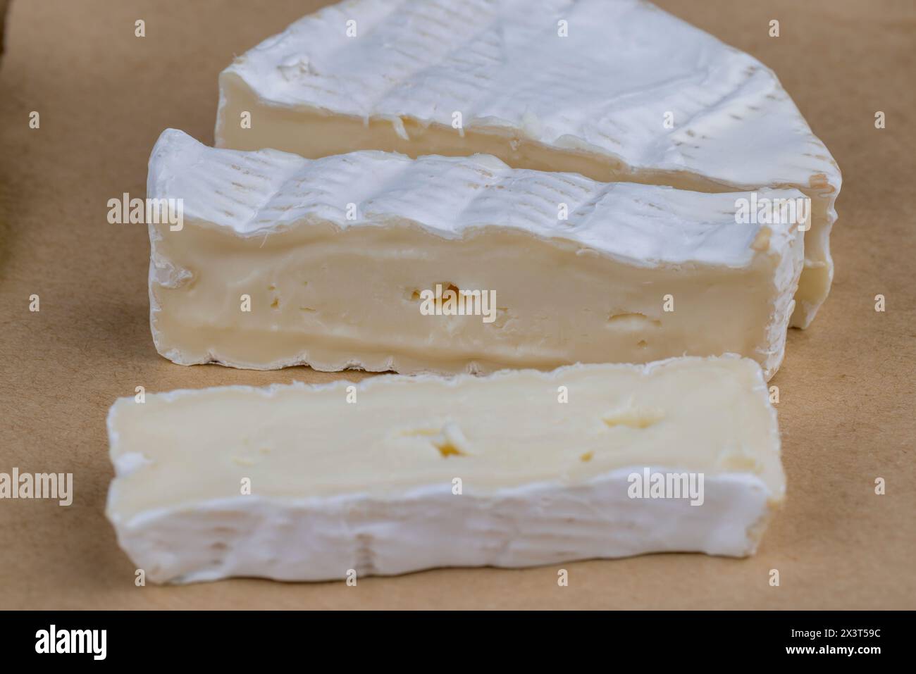 formaggio morbido lavorato con muffa bianca sul tavolo, formaggio bianco a fette con primo piano di muffa Foto Stock