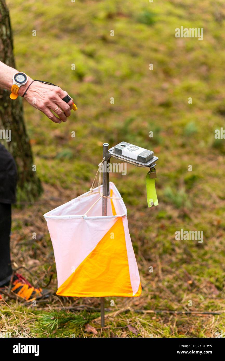 La donna anziana che puzza al punto di controllo orienteering. Mano di una donna anziana in controllo forestale a un punto di controllo. Messa a fuoco selettiva Foto Stock
