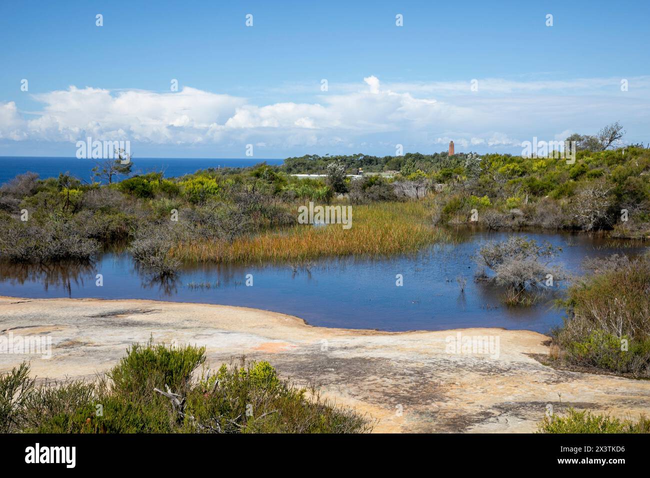 Old Quarry Swamp a North Head Manly, situato vicino alla spiaggia di Shelly, sul sentiero pedonale North Head Road, Sydney, NSW, Australia Foto Stock