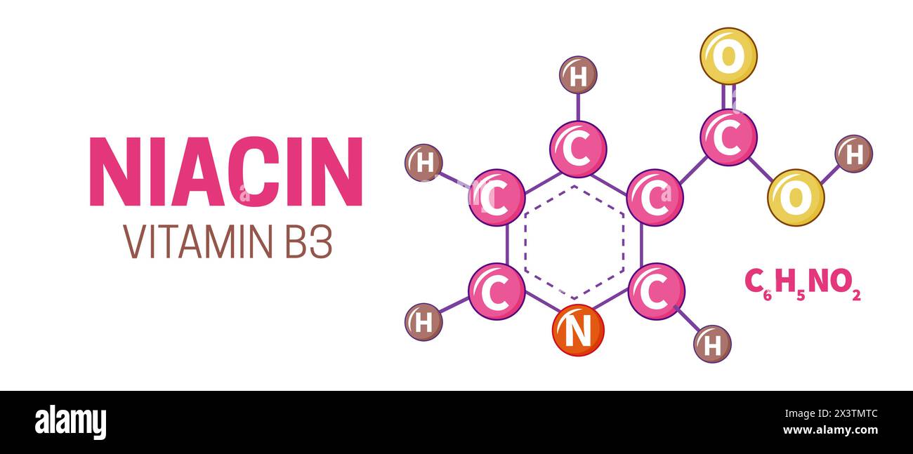 Illustrazione della molecola di niacina della vitamina B3 Illustrazione Vettoriale