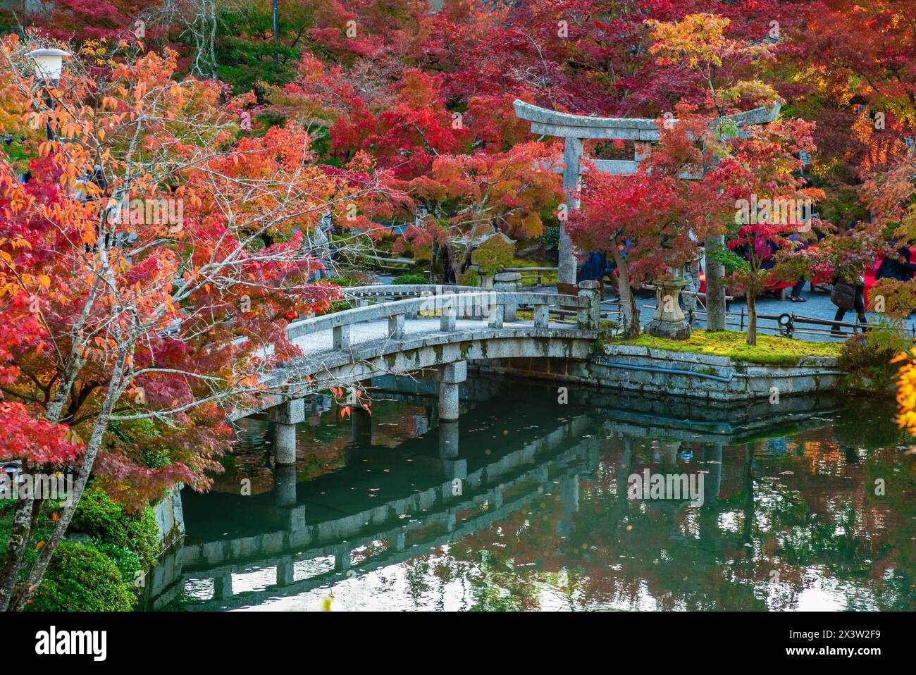 Fogliame autunnale al tempio Eikando Zenrinji a Kyoto, Kansai, Giappone Foto Stock