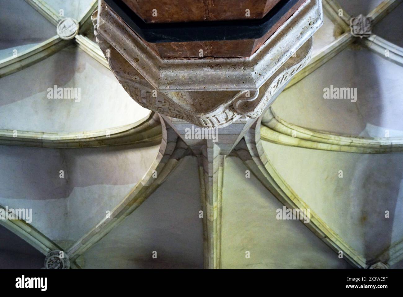 Volta a costola nella sala dei Cavalieri del Gran Palazzo - dettaglio interno nel Castello di Corvin (Hunedoara, Romania) Foto Stock
