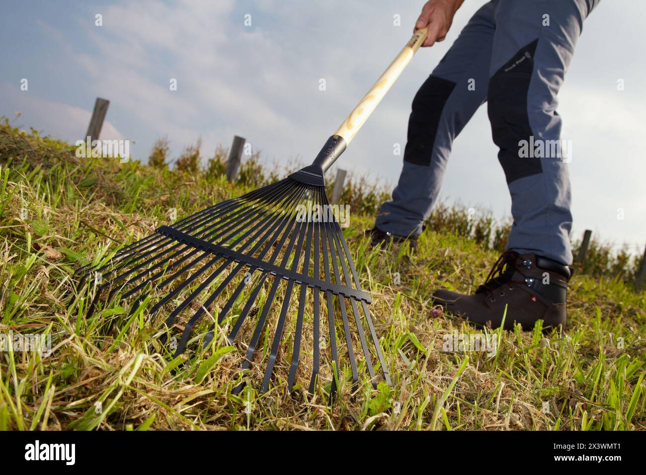 Agricoltore che pulisce i prati da talee di erba, rastrelli da prato, attrezzi manuali agricoli e da giardinaggio, Usurbil, Gipuzkoa, Paesi Baschi, Spagna Foto Stock