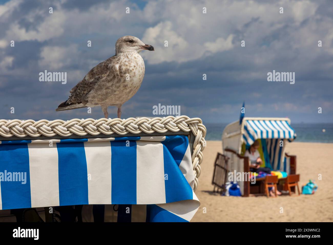 Europa, Germania. Schleswig-Holstein. Travemuende Foto Stock