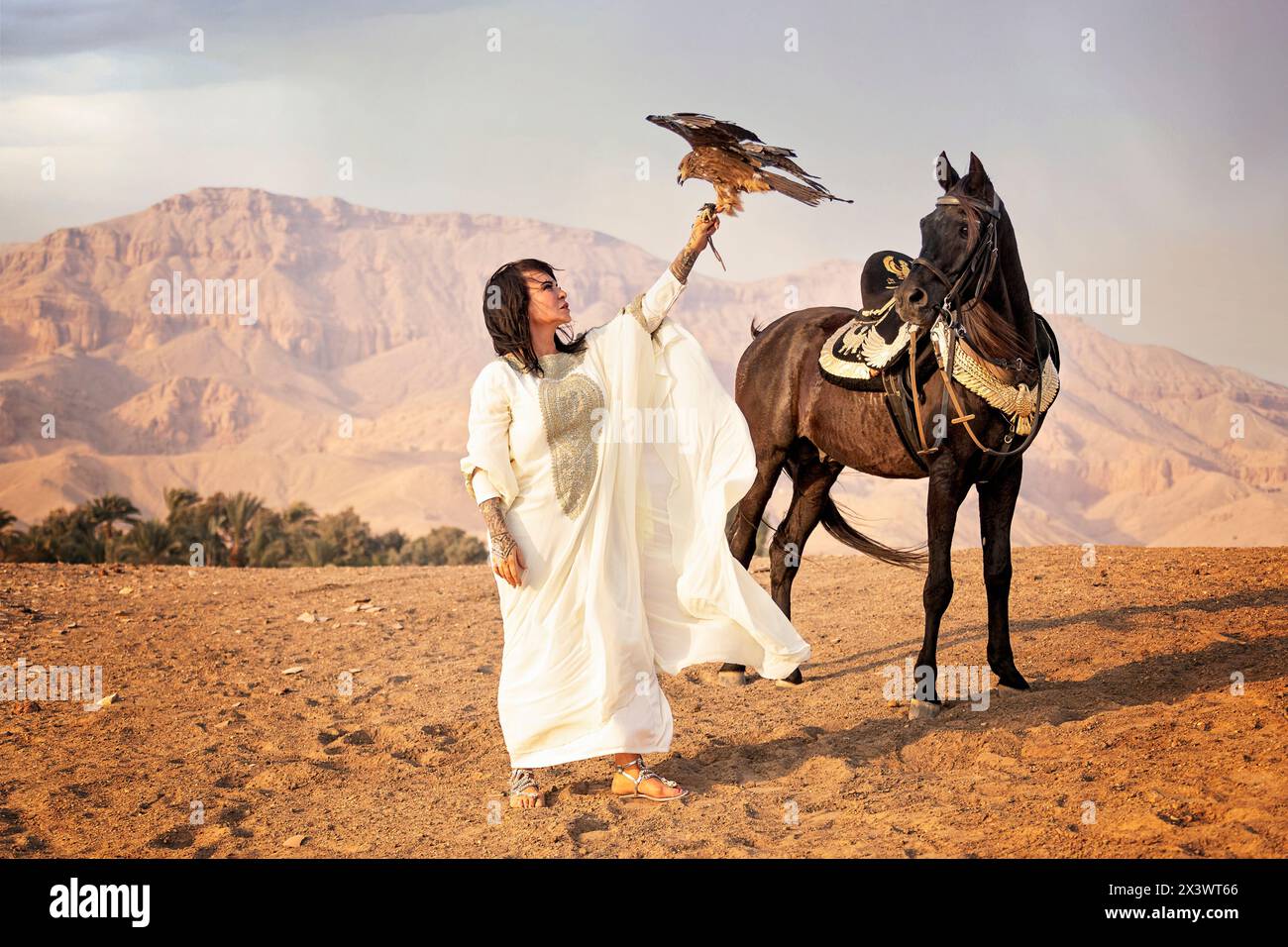 Arabo, Cavallo. Una donna egiziana. un uccello preda e un cavallo nero si stagliano nel deserto. Egitto Foto Stock