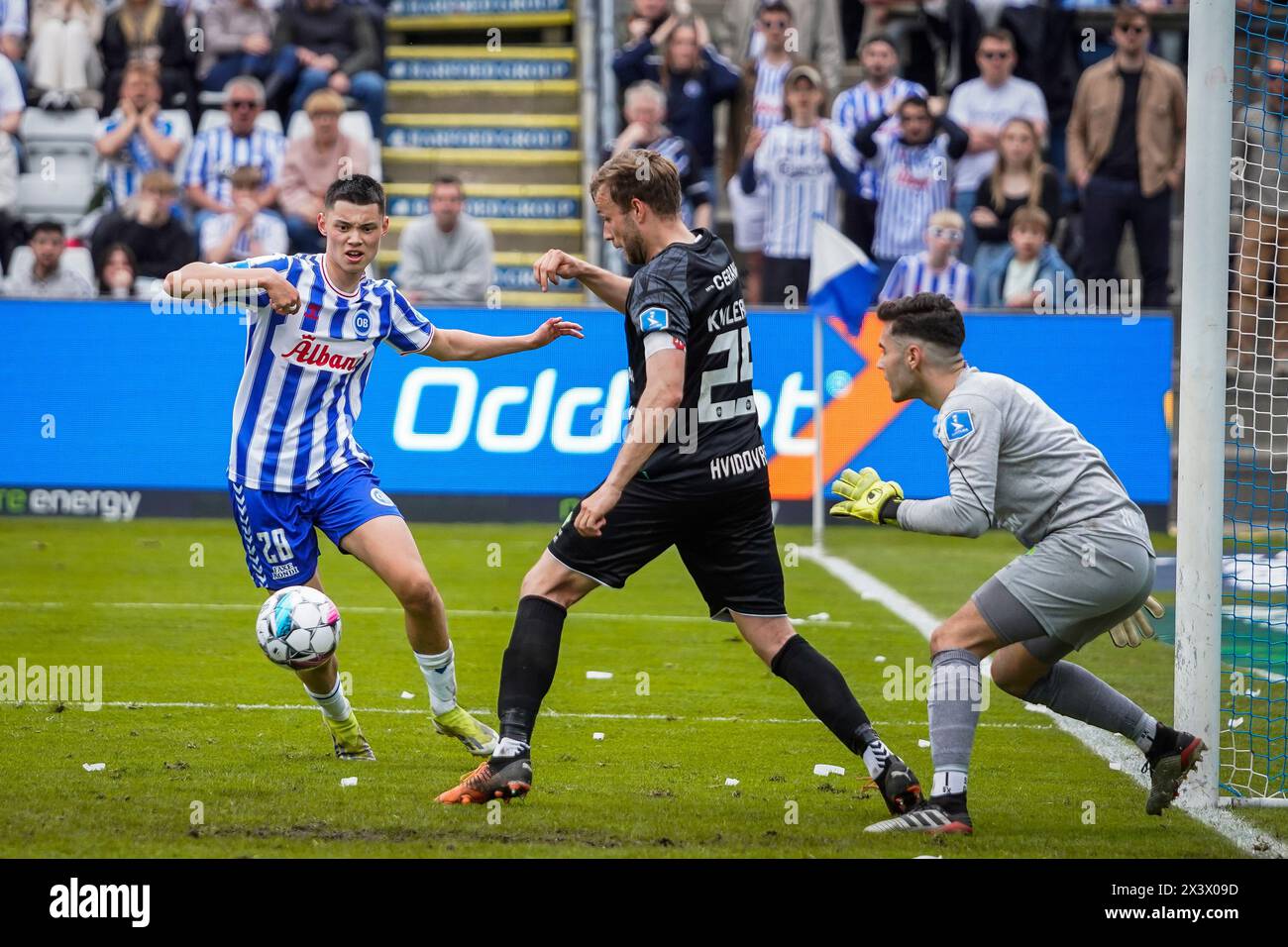 Odense, Danimarca. 28 aprile 2024. Tobias Slotsager (28) di OB e Malte Kiilerich (25) di Hvidovre SE visto durante il 3F Superliga match tra Odense BK e Hvidovre IF al Nature Energy Park di Odense. (Credito fotografico: Gonzales Photo - Kent Rasmussen). Foto Stock