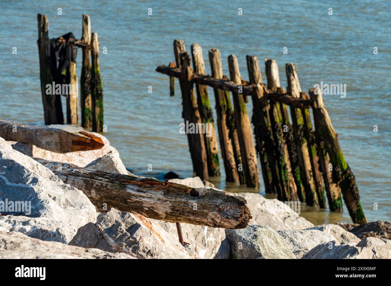 Pennelli in legno e roccia corazza le difese costiere Foto Stock