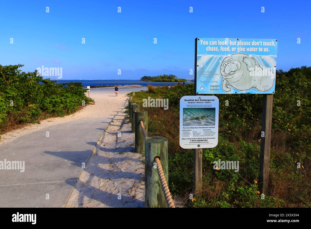 Stati Uniti, Florida. Contea di Hillsborough. Apollo Beach. Riserva naturale di Apollo Beach Foto Stock