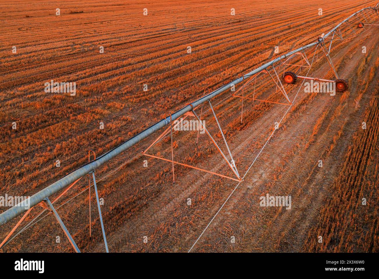 Linea di irrigazione agricola con spostamento laterale nel campo di colza raccolto, colpo aereo dal drone pov, vista ad angolo alto Foto Stock