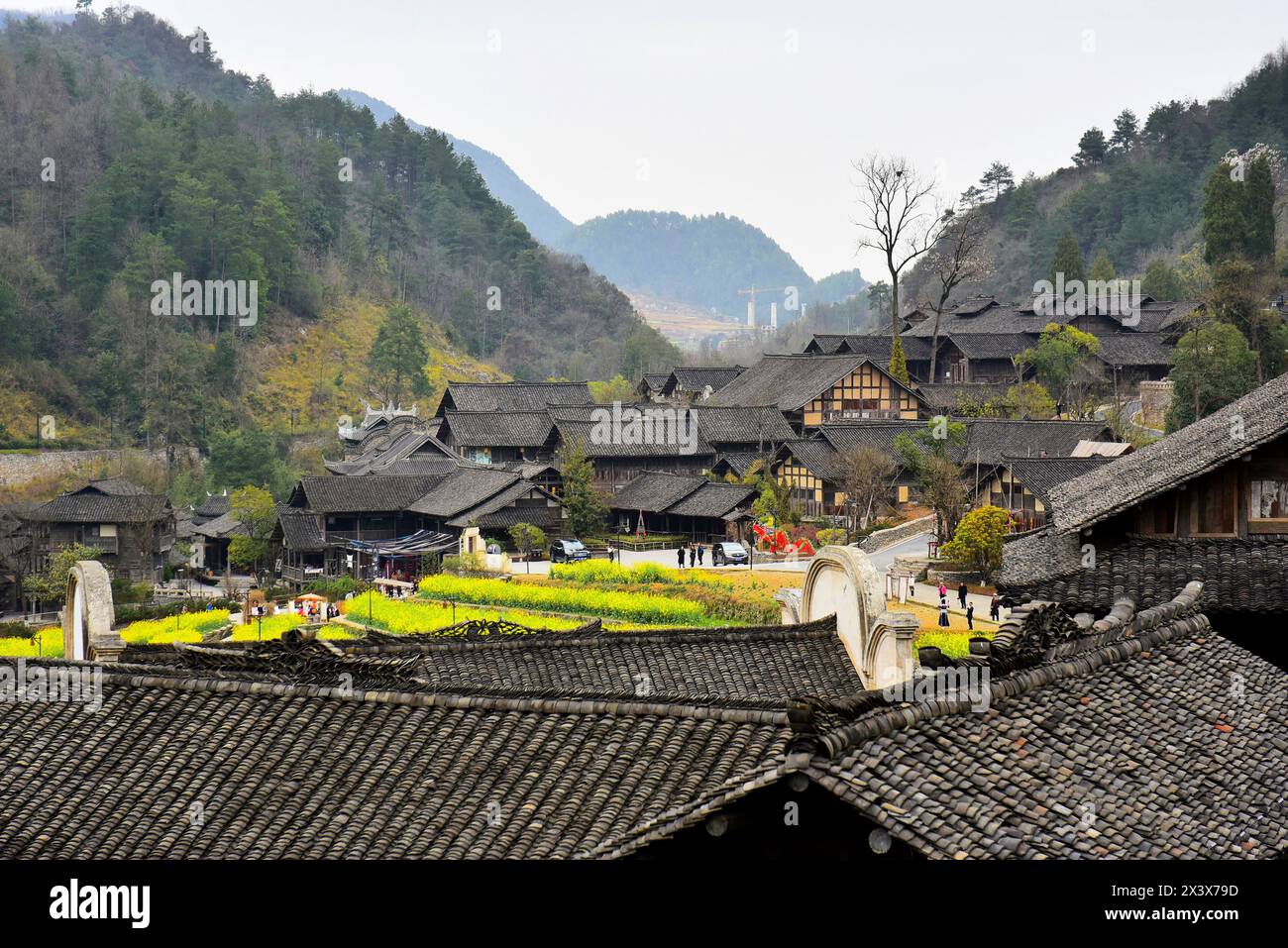 Il bellissimo villaggio Wujiang del gruppo etnico Miao minoritario con splendidi campi di fiori di colza, la città di Zunyi, la provincia di Guizhou, Cina Foto Stock