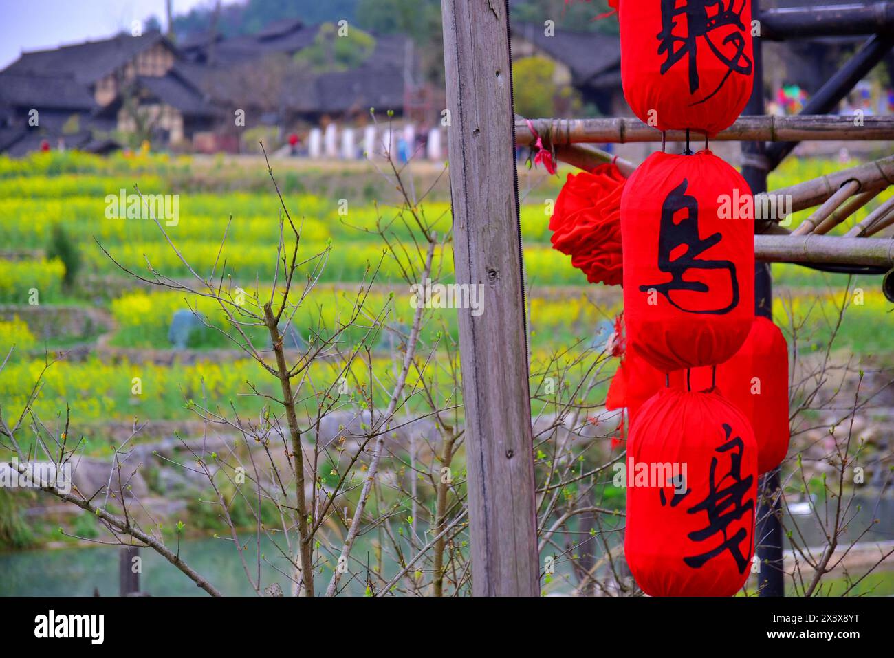 Il bellissimo villaggio Wujiang del gruppo etnico Miao minoritario con splendidi campi di fiori di colza, la città di Zunyi, la provincia di Guizhou, Cina Foto Stock