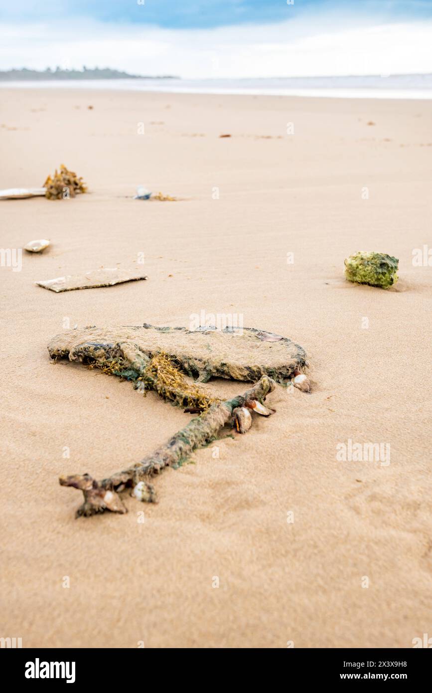Un vecchio perizoma di gomma (jandal o infradito) ricoperto di barnacoli, erbacce e sabbia dopo probabilmente anni che galleggiavano nell'oceano, ora a Mission Beach, agosto. Foto Stock